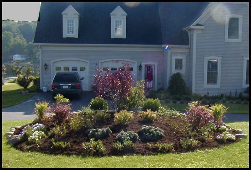 Landscaping Job